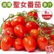 【果農直配】台灣嚴選溫室聖女番茄(8盒_600g/盒)
