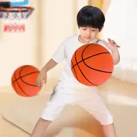 在飛比找蝦皮購物優惠-兒童籃球皮球室內靜音拍拍球小籃球充氣皮球玩具欖藍球彈力幼兒園