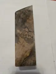 Stabilized Spalted Maple #97