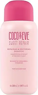 Coco & Eve Repairing & Restoring Shampoo for Damaged, Color Treated Hair - With Biomimetic Ceramides, Vitamin B5 to Repair Breakage, Split Ends, Strengthen and Hydrate. For All Hair Types (280ml)