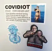 Dr. Fauci Stickers 3 PACK Bill Gates Dr. Evil COVIDIOT Virtual Signaling DECALS