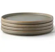 AmorArc Stoneware Dinner Plates Set of 4, 10.25 Inch Reactive Matte Glaze...