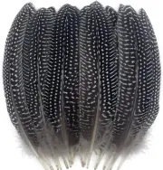 20PCS Natural Spotted Feathers Pheasant Feathers for Craft Clothing Jewelry Acce