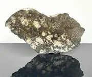 NWA 11576 AIR CHOCOLATE 8.43g Meteorite Polished End Cut Eucrite Melt Breccia