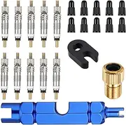 Giantree Presta Valve Core Repair Kit, Including 10 Valve Cores, 10 Tire Valves Core Stems, and A Removal Tool, Suitable for Tubeless Road and Mountain Bike Tires, Can Replace Tubeless Tire Cores