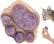 Temptation Cat Treats | Cat Paw Biscuits Oral Cleaning,Natural Healthy Cat Treats, Cat Food Treats, Paw Shape Cat Biscuits Kitten Treats, Chewy Cat Treats