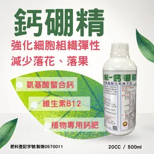 (現貨)鈣肥 硼肥 葉面肥 開花肥 液態肥料 鈣硼精 0.5公升 肥料 農夫樂