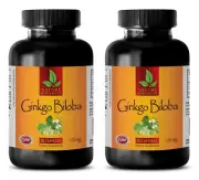 advanced antioxidant supporter - GINKGO BILOBA 120 - brain supplements 2 BOTTLE