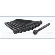 Austral Cylinder Head Bolt Set - 81001200