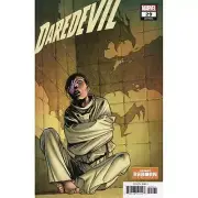 Daredevil #29 Reborn Variant Marvel Comics
