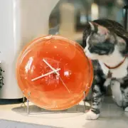 Quiet Round Decorative Bubble Balloon Clock with Artistic Gradients Sunset Face