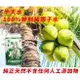 現貨 椰子水 半天水 鮮剖純椰子水 24入/箱 (購1箱以上選黑貓/郵局 運費不足我方出) 清涼消暑 冰鎮點心