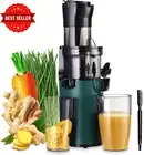 Electric Cold Press Juicer 200W Slow Masticating Juicer for Fruits Vegetables BP