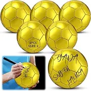 WinnerWhy 6 Pcs Gold Autograph Volleyball Official Size 2 Mini Trophy Volleyball Golden Custom Volleyball with Air Pump for Trophies Anniversary School College Coaching Gift Awards Party