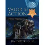 VALOR IN ACTION: THE MEDAL OF HONOR PAINTINGS OF COL. CHARLES WATERHOUSE
