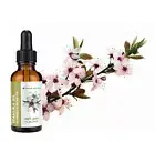 MANUKA OIL IN SWEET ALMOND OIL by Vando Naturals - 1 fl.oz