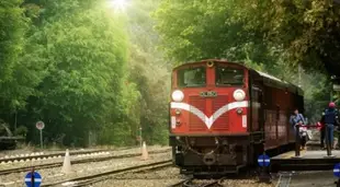 高鐵假期-嘉義阿里山小火車、觀日出｜二日精緻遊(苗栗出發)