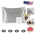 Premium Grade 6A Mulberry Silk Pillowcase Set - Queen Size with Hidden Zipper