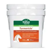 STANCE EQUITEC TURMERICLE POWDER 2Kg Tumeric & Coconut Oil powder