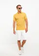 Polo Neck Short Sleeve Striped Combed Cotton Men's T-Shirt