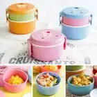 Style Microwave Kids Lunch Box Snack Box Mini Bento Box Children's Fruit Box