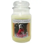 Yankee Candle Merry Christmas All Is Bright 22oz Jar Single Wick Rare Label NEW