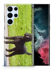 CASE COVER FOR SAMSUNG GALAXY|POODLE DOG 13