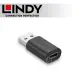 LINDY 林帝 USB 3.2 Gen2 Type-A/公 to Type-C/母 轉接頭 (41904)