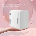 Compact Makeup Refrigerator 4L Mini Fridge For Car