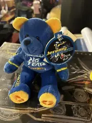 Jeremy McGrath Teddy Bear