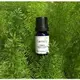 Comely ® 百千層純精油10ml 卡莫莉加拿大外國原廠進口 Cajeput Pure Essential Oil