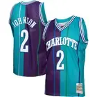 Men's Mitchell & Ness Larry Johnson Teal/Purple Charlotte Hornets Hardwood