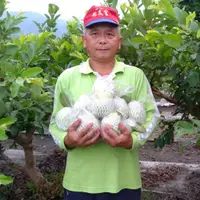在飛比找蝦皮購物優惠-彰化二水珍珠芭樂33台斤(20公斤)  小農自產自銷 產地新