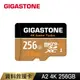 Gigastone 立達 資料救援 256GB microSDXC UHS-I U3 A2 V30 高速記憶卡