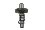 Andrews C Grind Cam For Harley-Davidson Panhead And Shovelhead