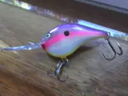 Custom Painted Rapala DT-16, Plum Sanity