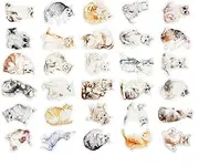 30 PCS Postcard Souvenir Gifts Collection Postcards Set Cards Collectible Set Cat E18