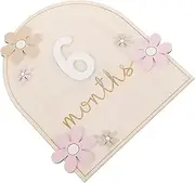 SWOOMEY Wooden Monthly Milestone Discs Set of 12 Decorative Baby Milestone Cards for Birth Month Photo