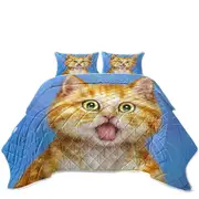 Funny Cat Ginger Kitten is in Shock Coverlet