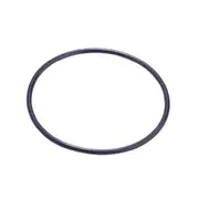 Puretec MPBOR O Ring Seal, Suit Mpb202B Housing