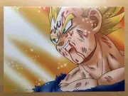 Dragon Ballz Demon God Vegeta Cel Art Sheet Toriyama Akira