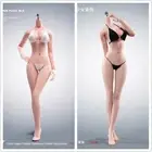 Female Body Set for ANT Toys 1/6th Scale 12" Action Figure New 1:6