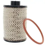 Mahindra Roxor Fuel Filter Element Kit 1001CAA14881N