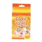 Magnoidz Discover Kids 6y+ Fools Gold Discovery 16cm Kit Fun Excavation Game Toy