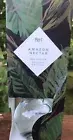 Pier 1 Imports Concentrated AMAZON NECTOR 10OZ Reed Diffuser Set Full Size NEW