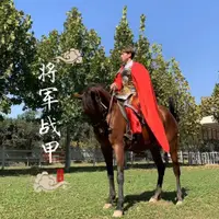 在飛比找蝦皮購物優惠-將軍盔甲戰袍古裝鎧甲中國風古代盔甲演出服影視古裝勇士鎧甲披風