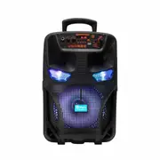 Waterproof Portable Bluetooth Party Speaker Karaoke with Microphone Stereo
