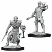 Human Male Warlock D&D Nolzur's Marvelous Miniatures Wizkids WZK73836