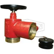 Dixon Fire Hydrant Landing Valve 65mm BSP Threaded x BI WA DR Brass