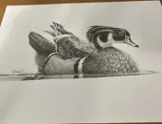 Martin R Murk, pencil original, wood duck, signed 8” x 11”,